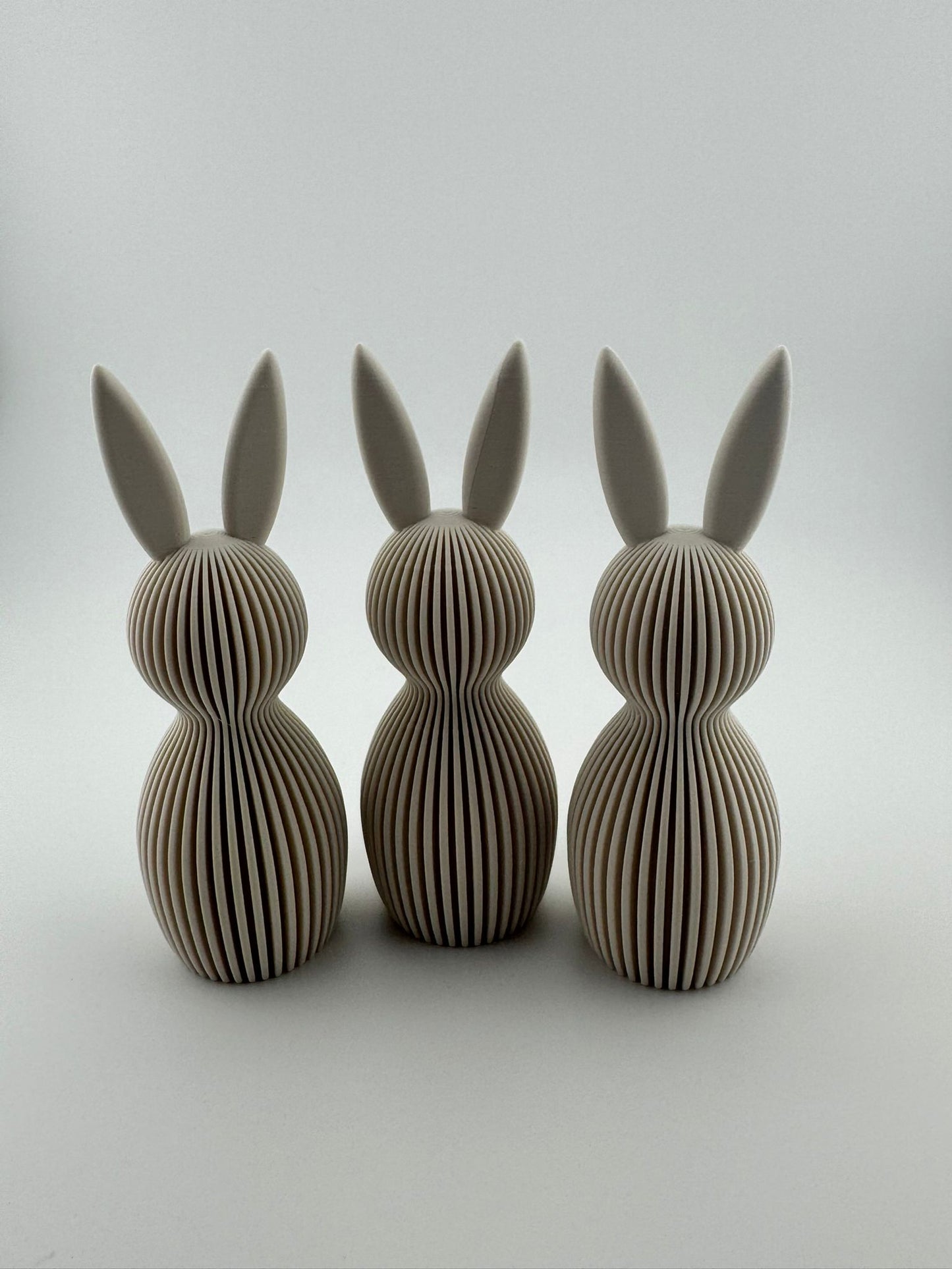 Hase "Havi"